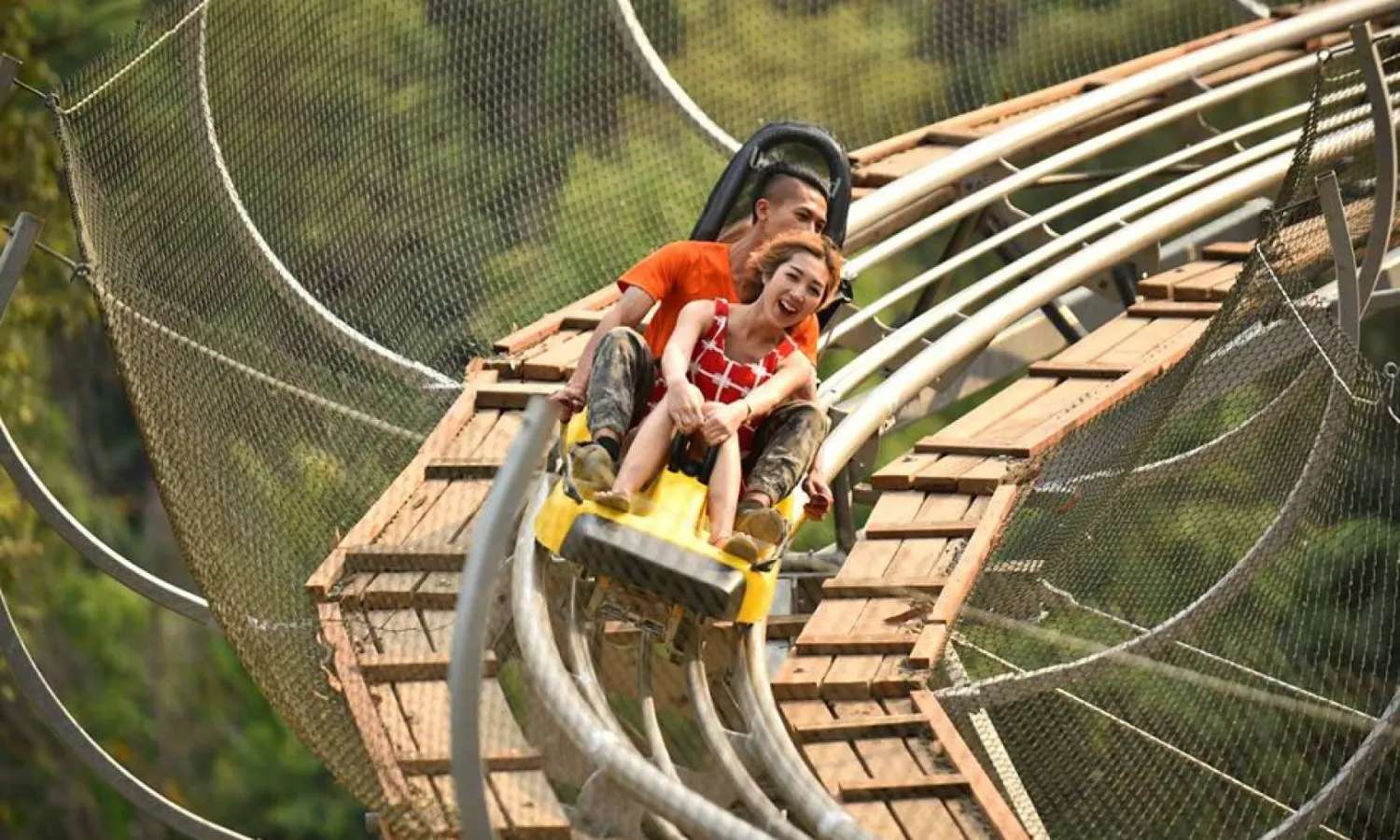 Pong Yang Jungle Coaster