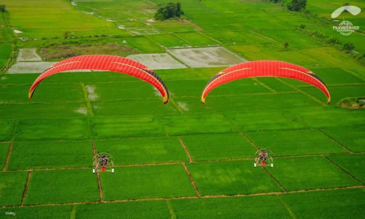 Flyingbird Paramotor Chiang Mai