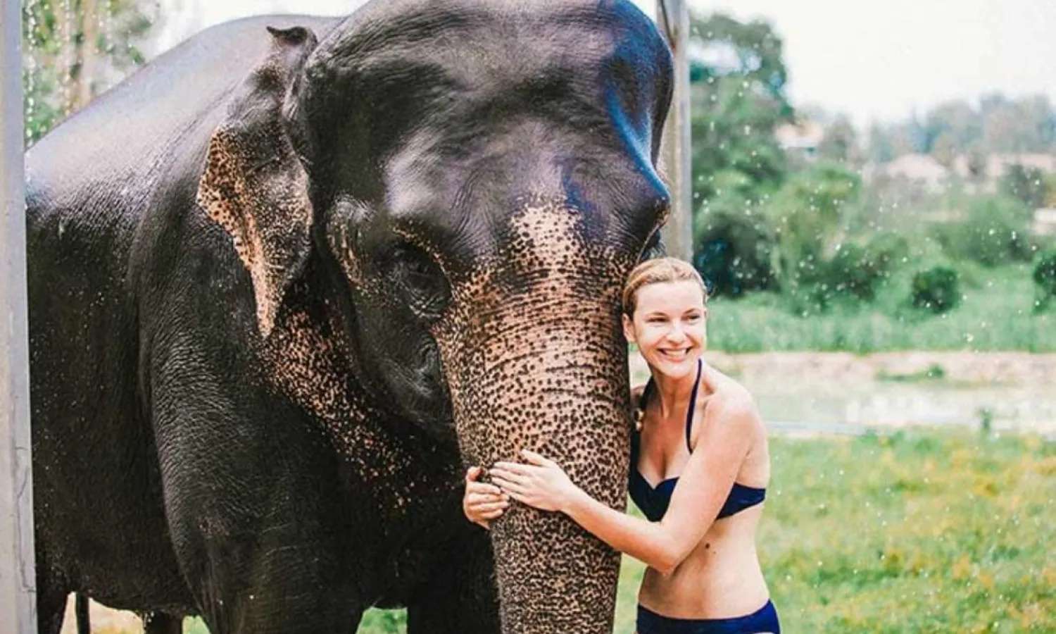 Elephant Jungle Sanctuary Phuket
