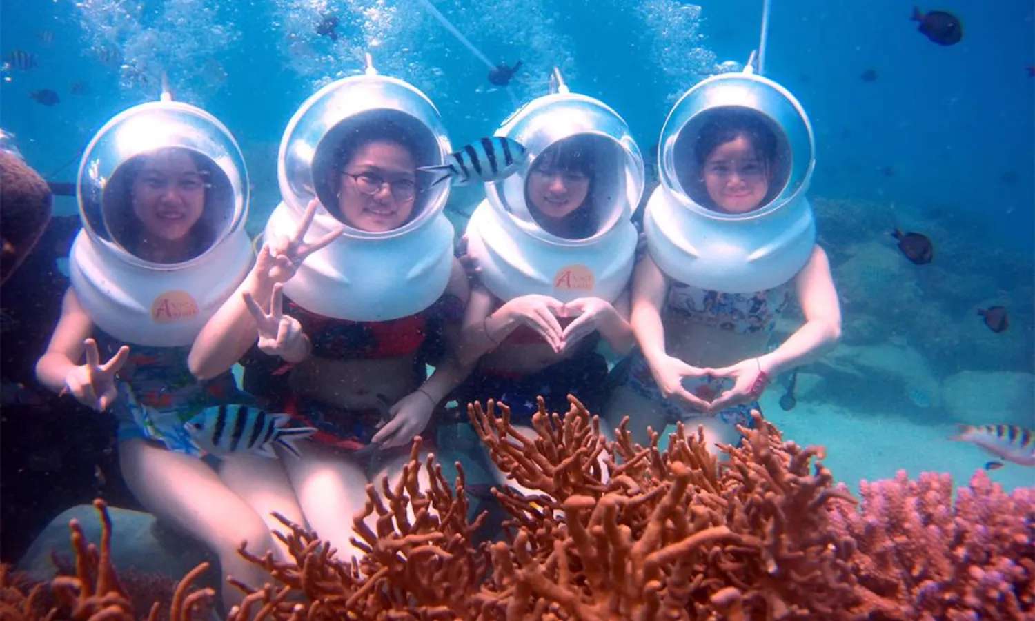 lặn biển trong Tour Vịnh San Hô, Làng chài và Tắm bùn Hòn Tằm