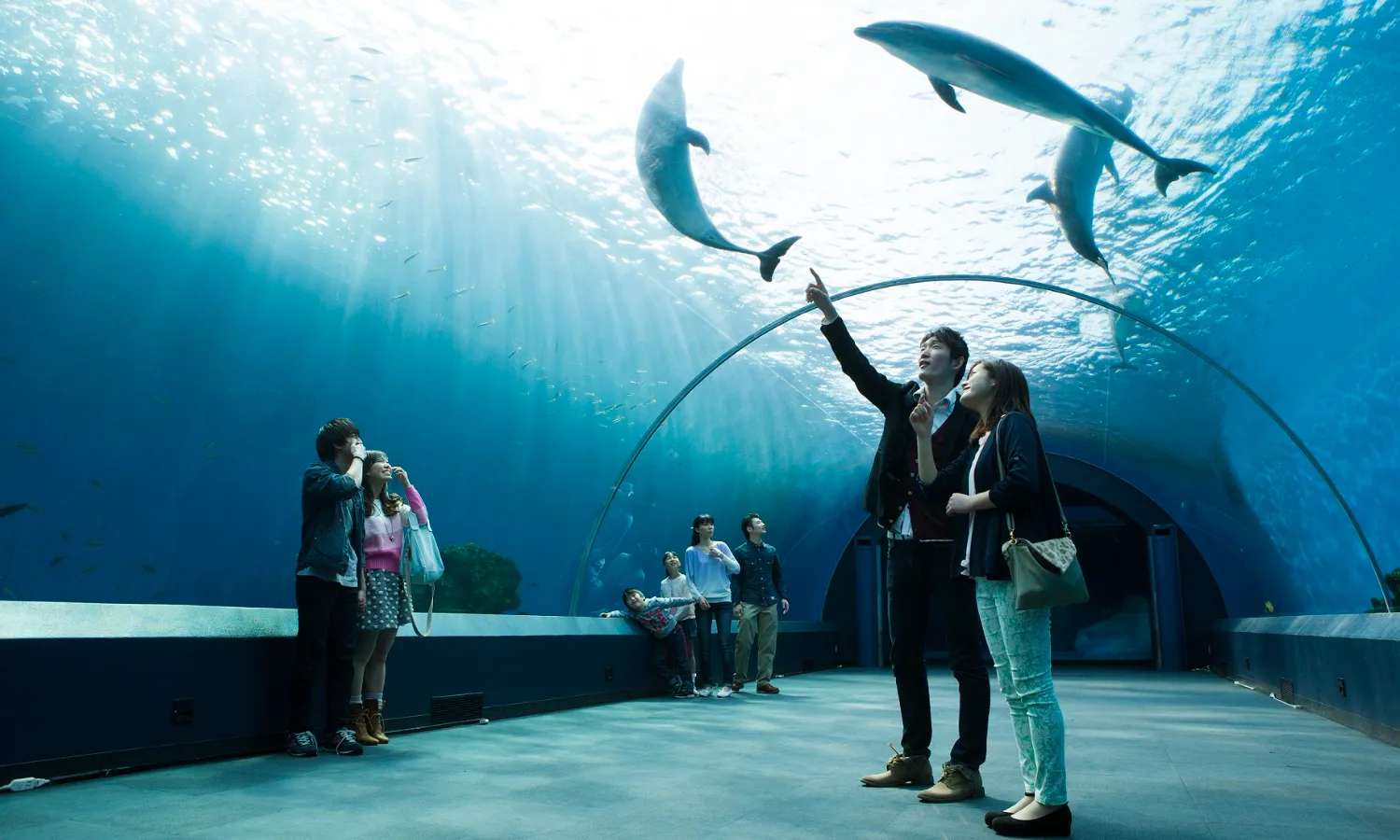 Yokohama Hakkeijima Sea Paradise