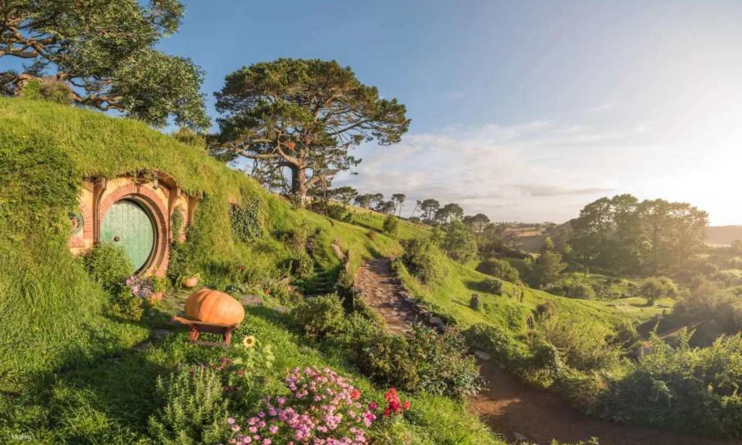 Hobbiton Movie Set
