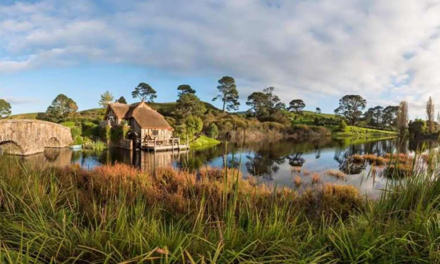 Hobbiton Movie Set