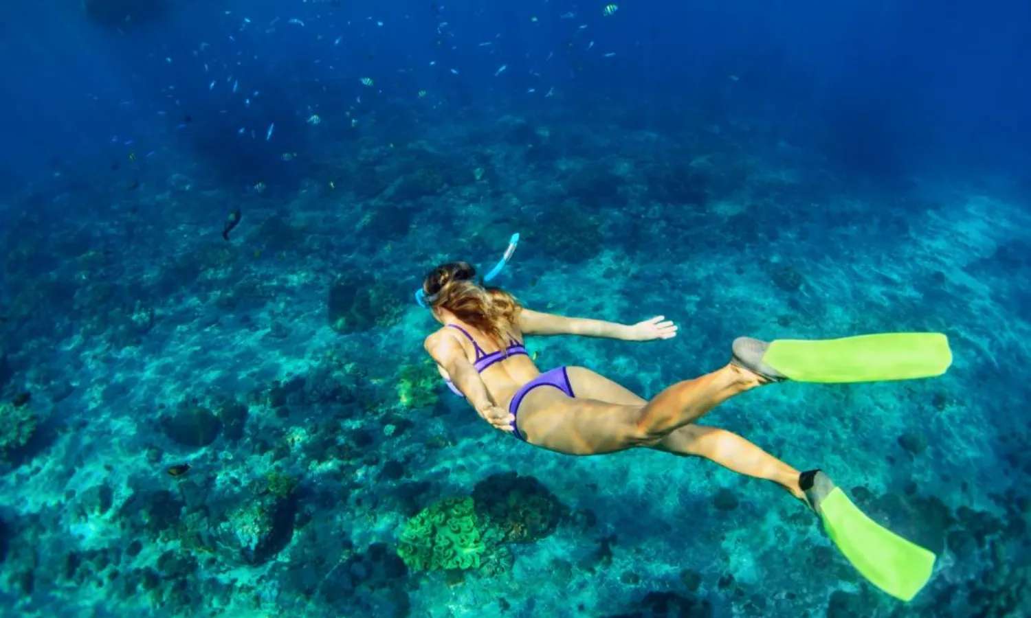 lặn biển trong our đảo Komodo 1 ngày