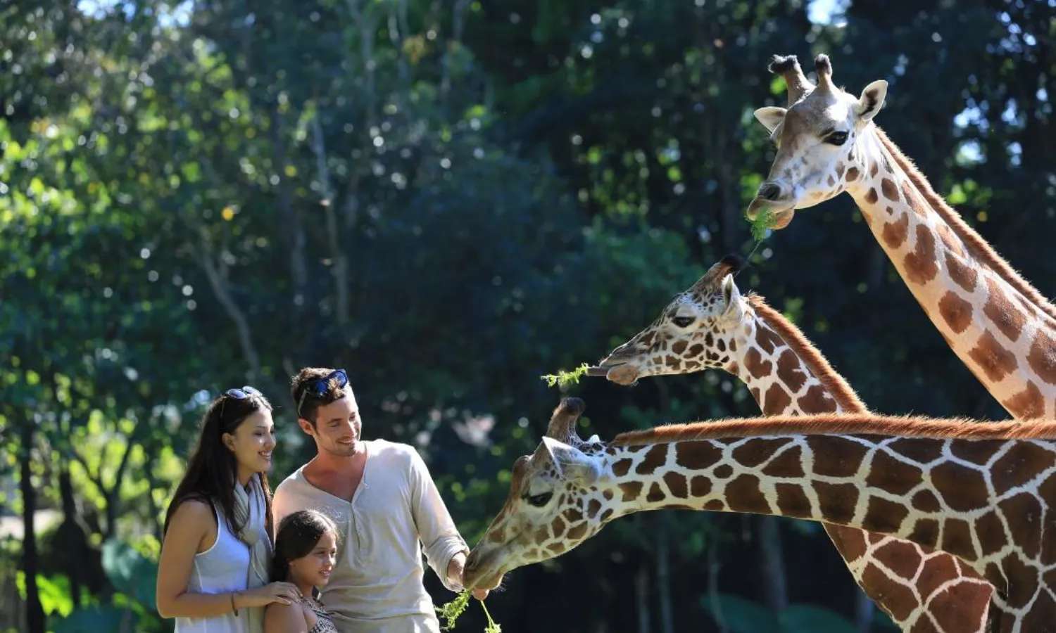 vé máy bay hà nội indonesia