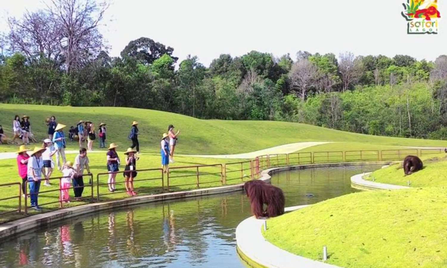 Safari Lagoi tại Riau