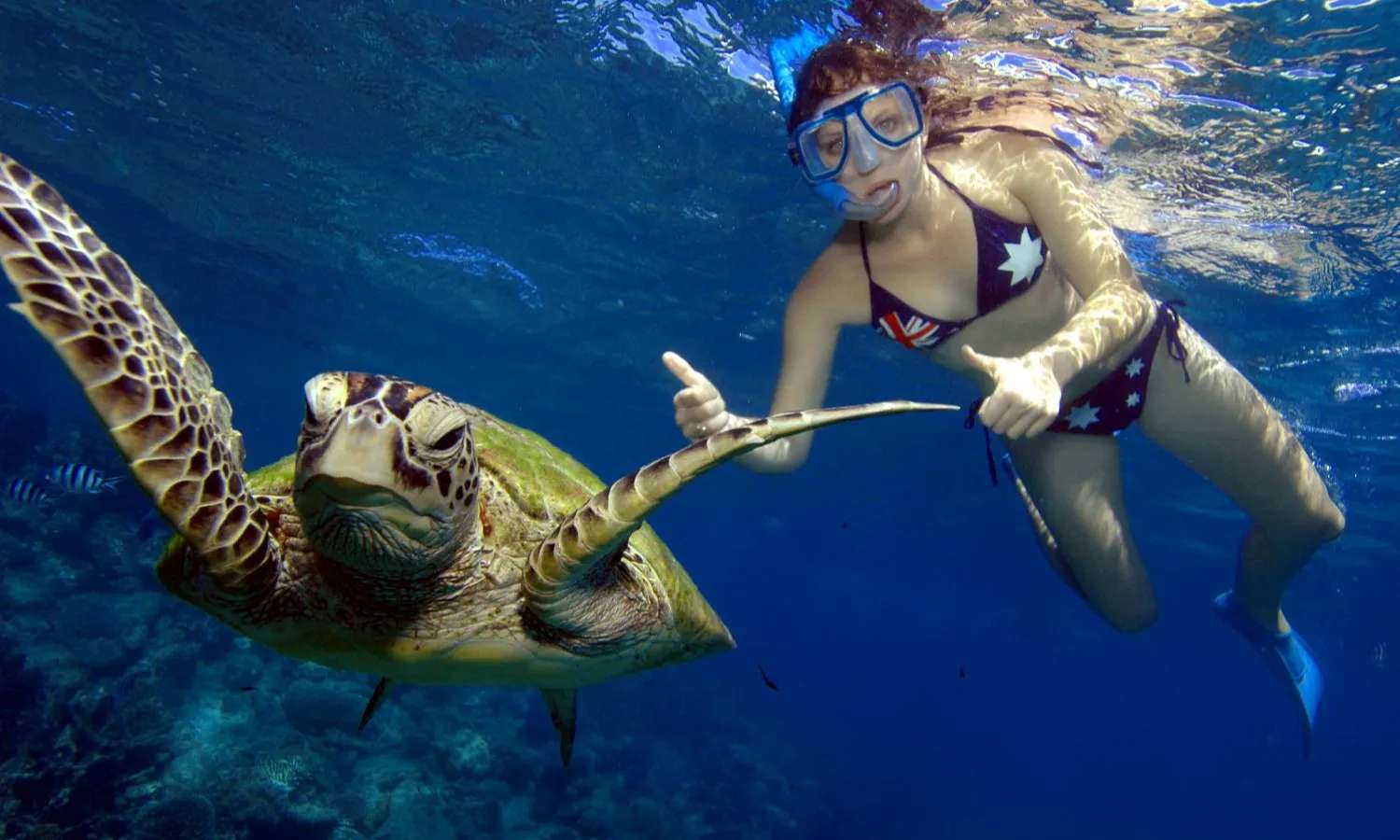 tour lặn biểu tại Cairns