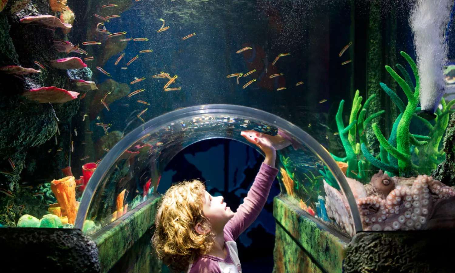 SEA LIFE Melbourne Aquarium
