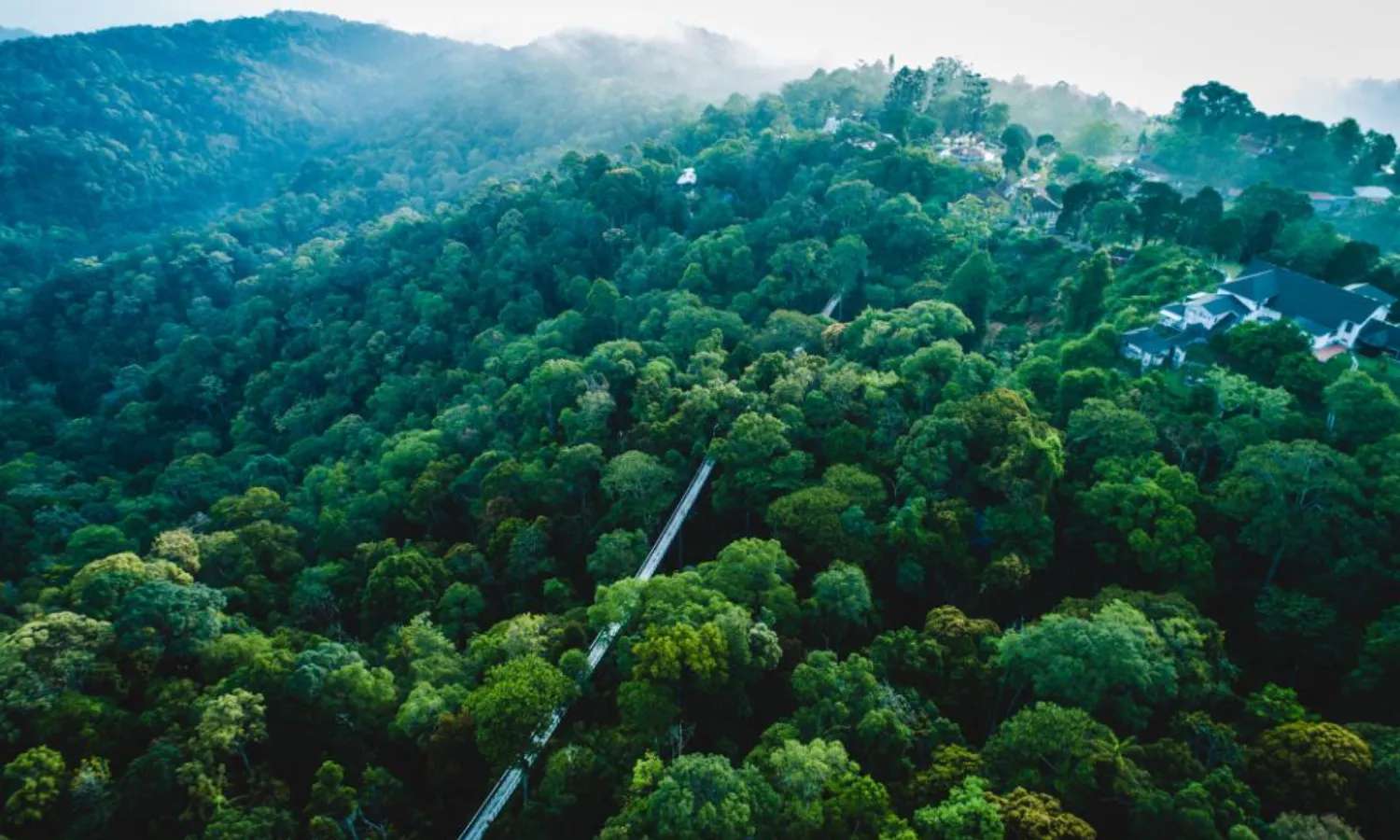The Habitat Penang Hill từ trên cao