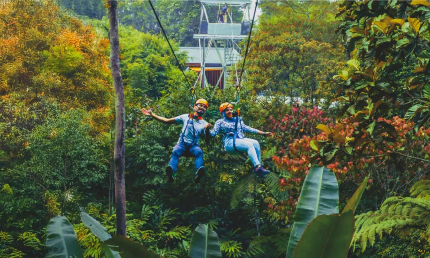 đu dây zipline tại Penang Hill