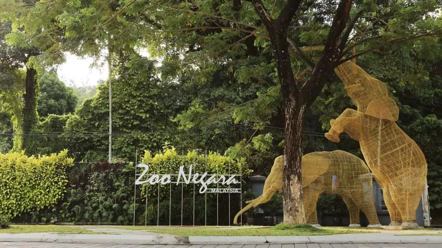 Zoo Negara Malaysia