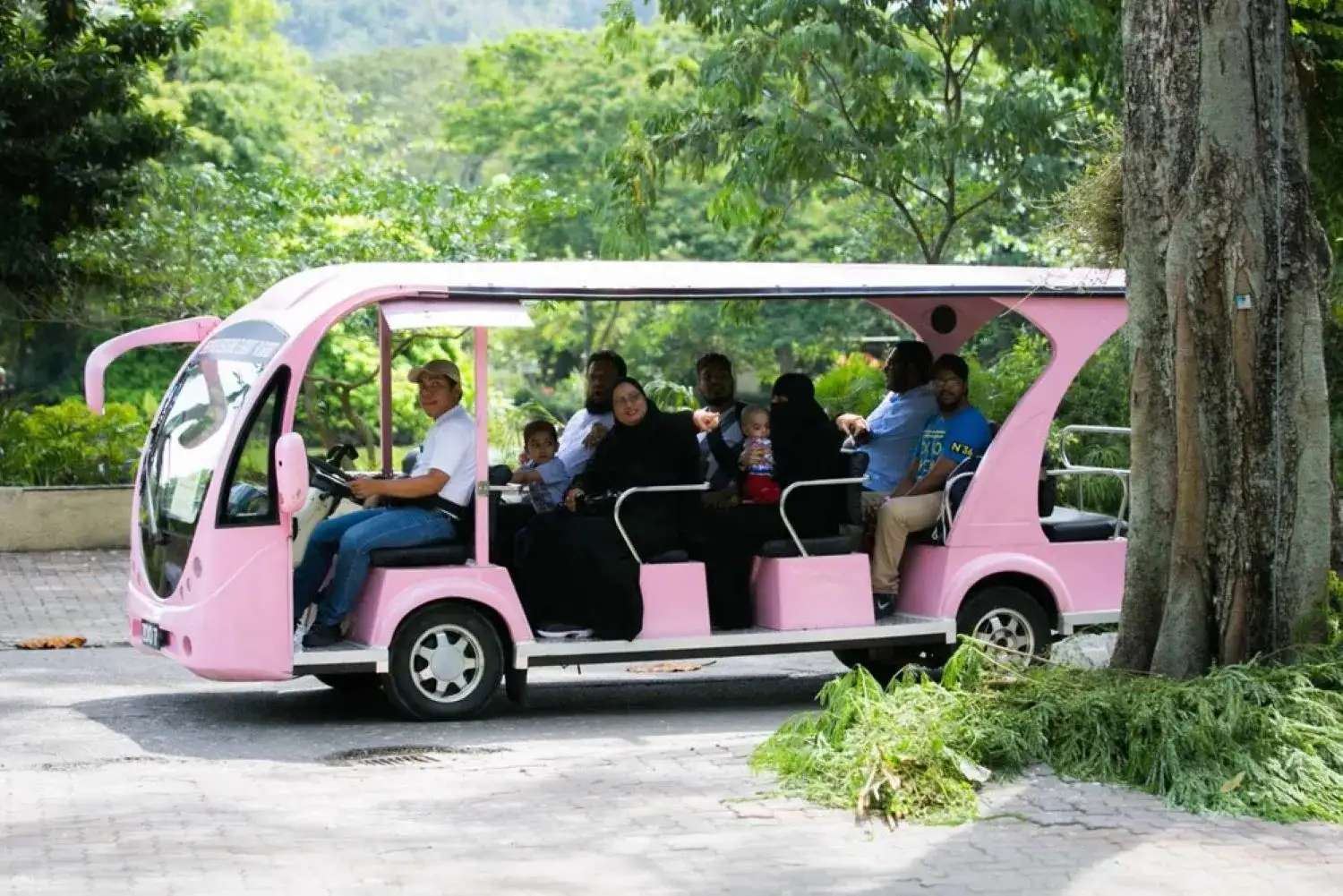 xe tham quan Zoo Negara