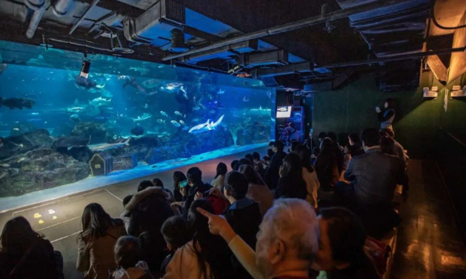 COEX Aquarium