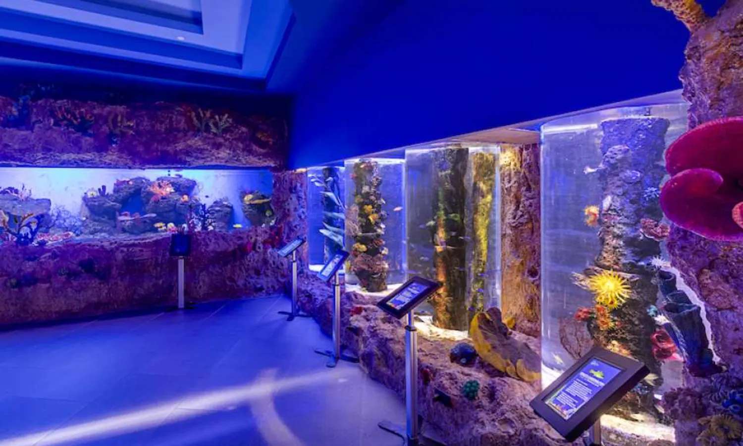 vé Cebu Ocean Park