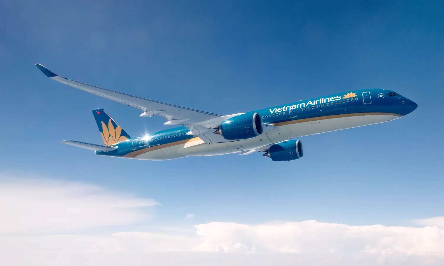 vé máy bay nội địa vietnam airlines