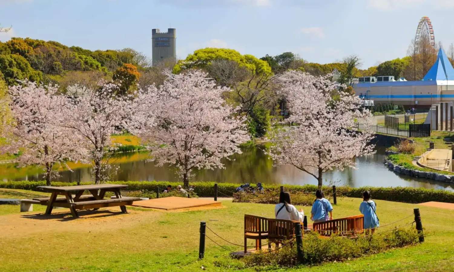 non hoi park