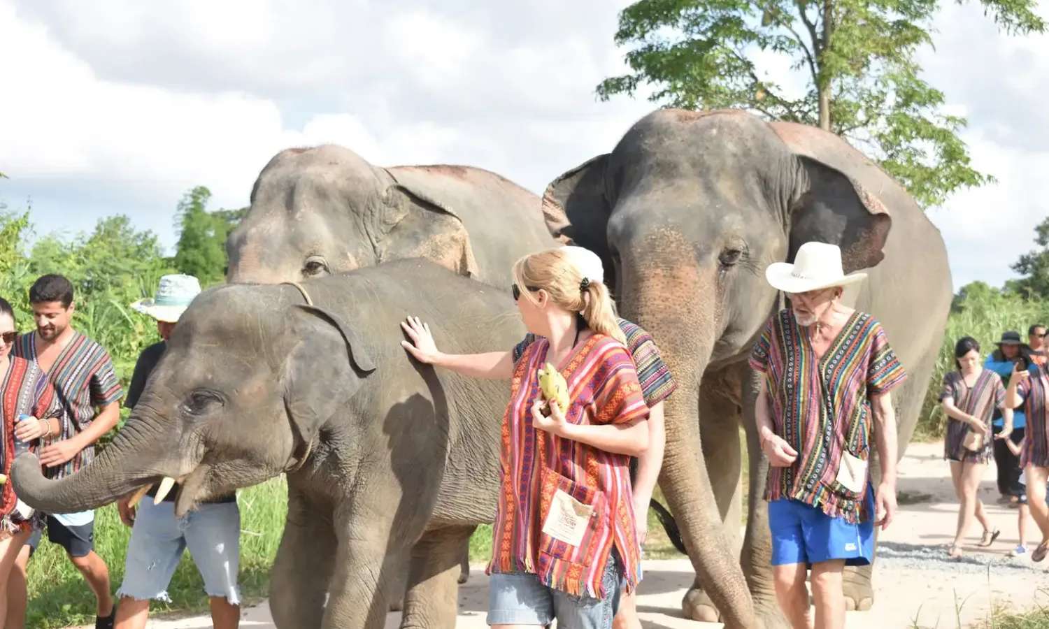 Elephant Jungle Sanctuary Pattaya