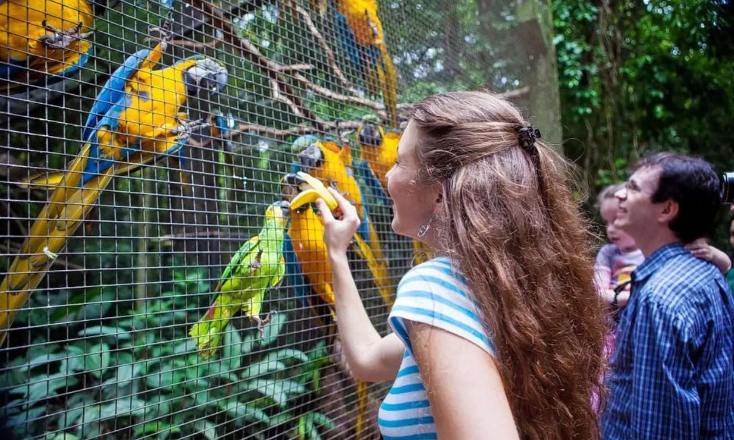 khách tham quan công viên chim Phuket