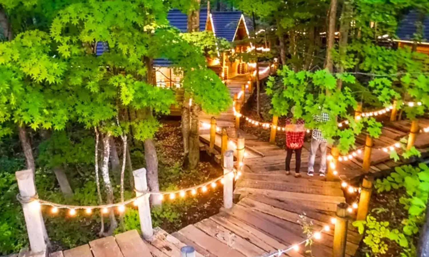 Tour Hokkaido 1 ngày
