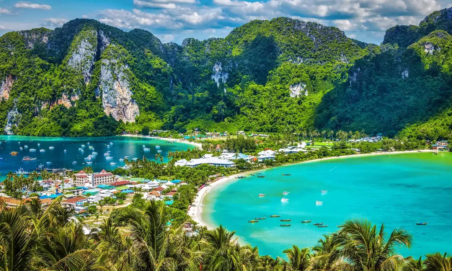 Tour đảo Phi Phi & Bamboo Island 1 ngày