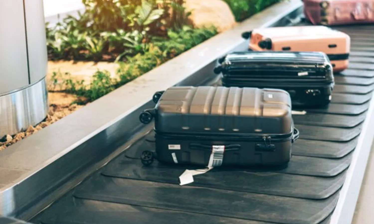 Hành lý xách tay Eva Air đều có nhãn của hãng