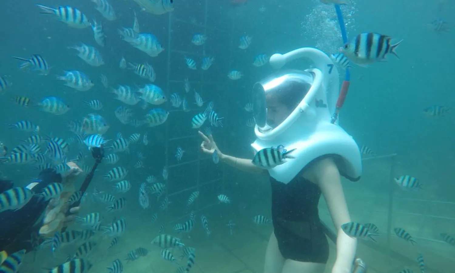 tour đi bộ dưới biển Cù Lao Chàm 1 ngày