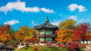 ソウル, 2,745 軒の宿泊先