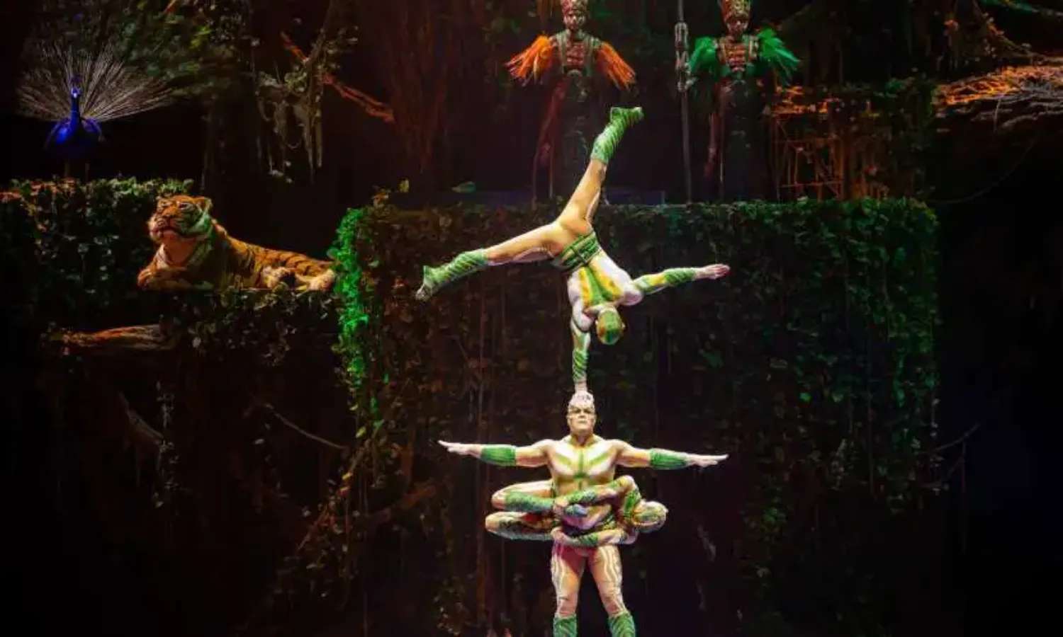 vé Chimelong Show