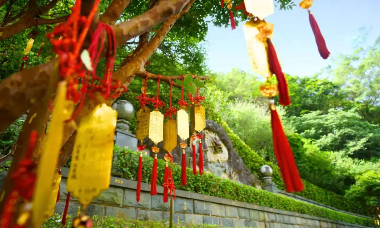 Maokong