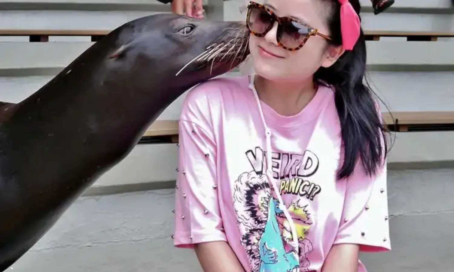 tương tác với hải cẩu tại Yehliu Ocean World