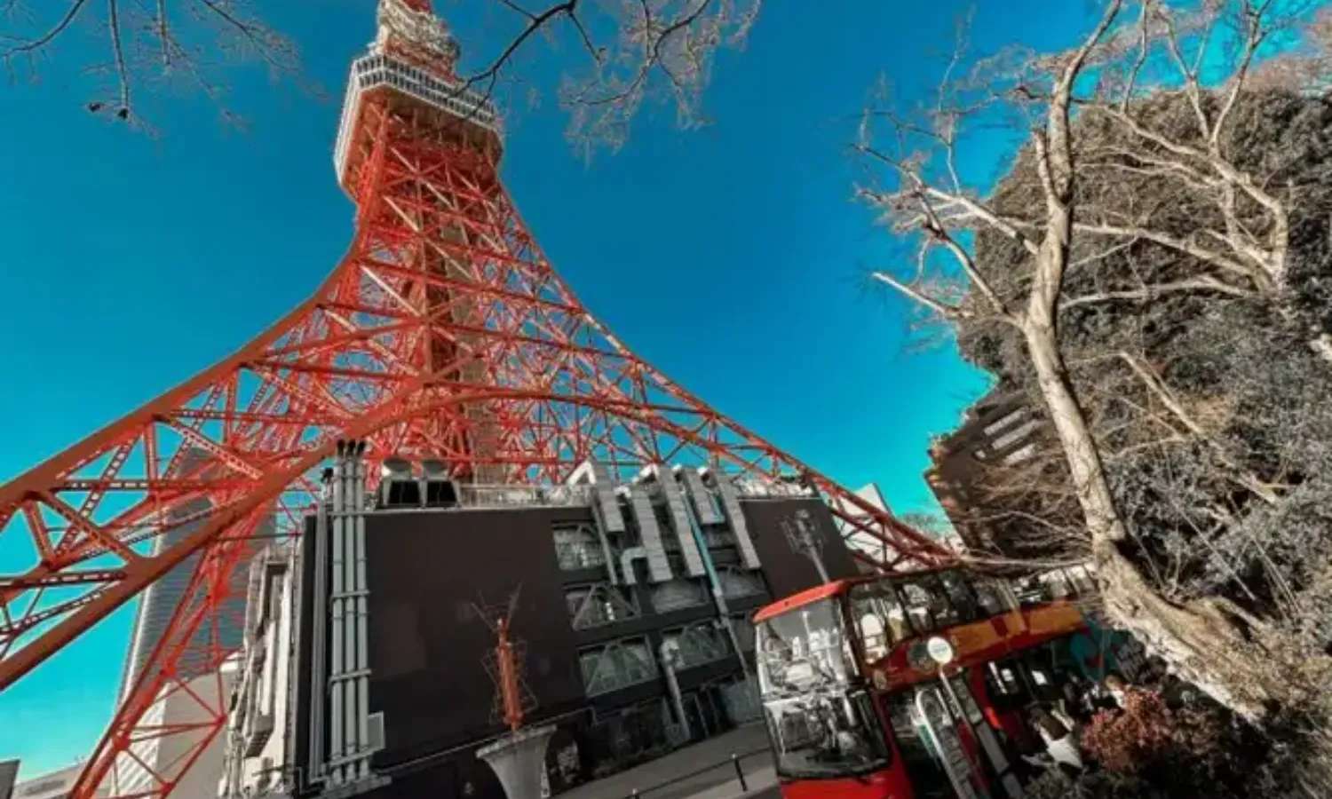 Sky Hop Bus Tokyo