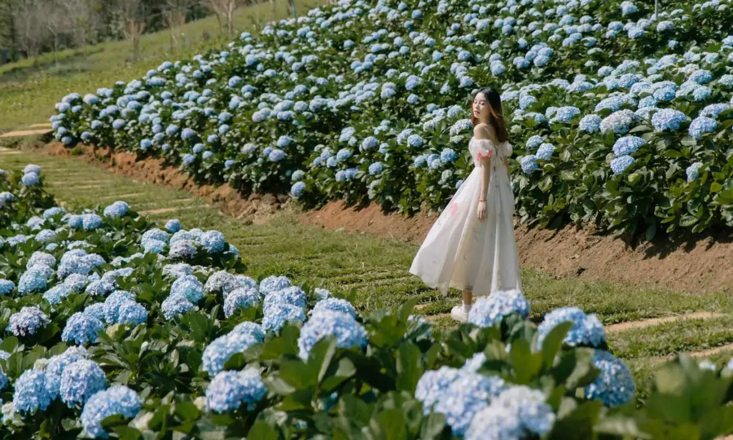 tour đà lạt nửa ngày