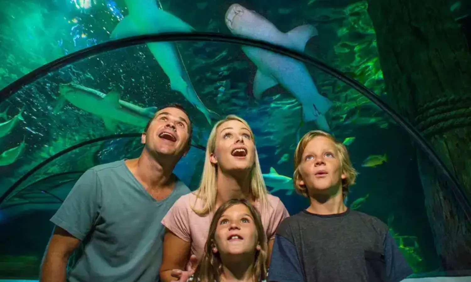 SEA LIFE Sunshine Coast Aquarium