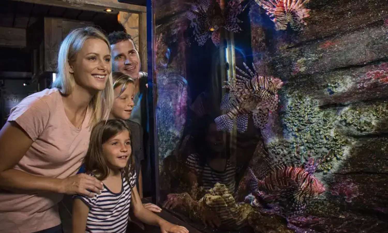 tham quan SEA LIFE Sunshine Coast Aquarium