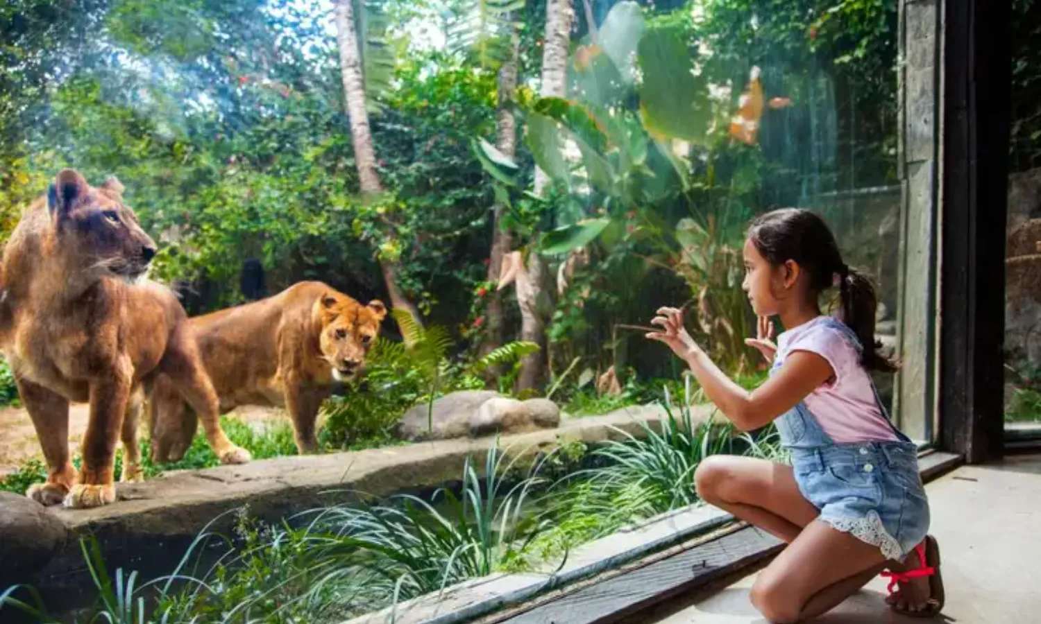 vườn thú Bali