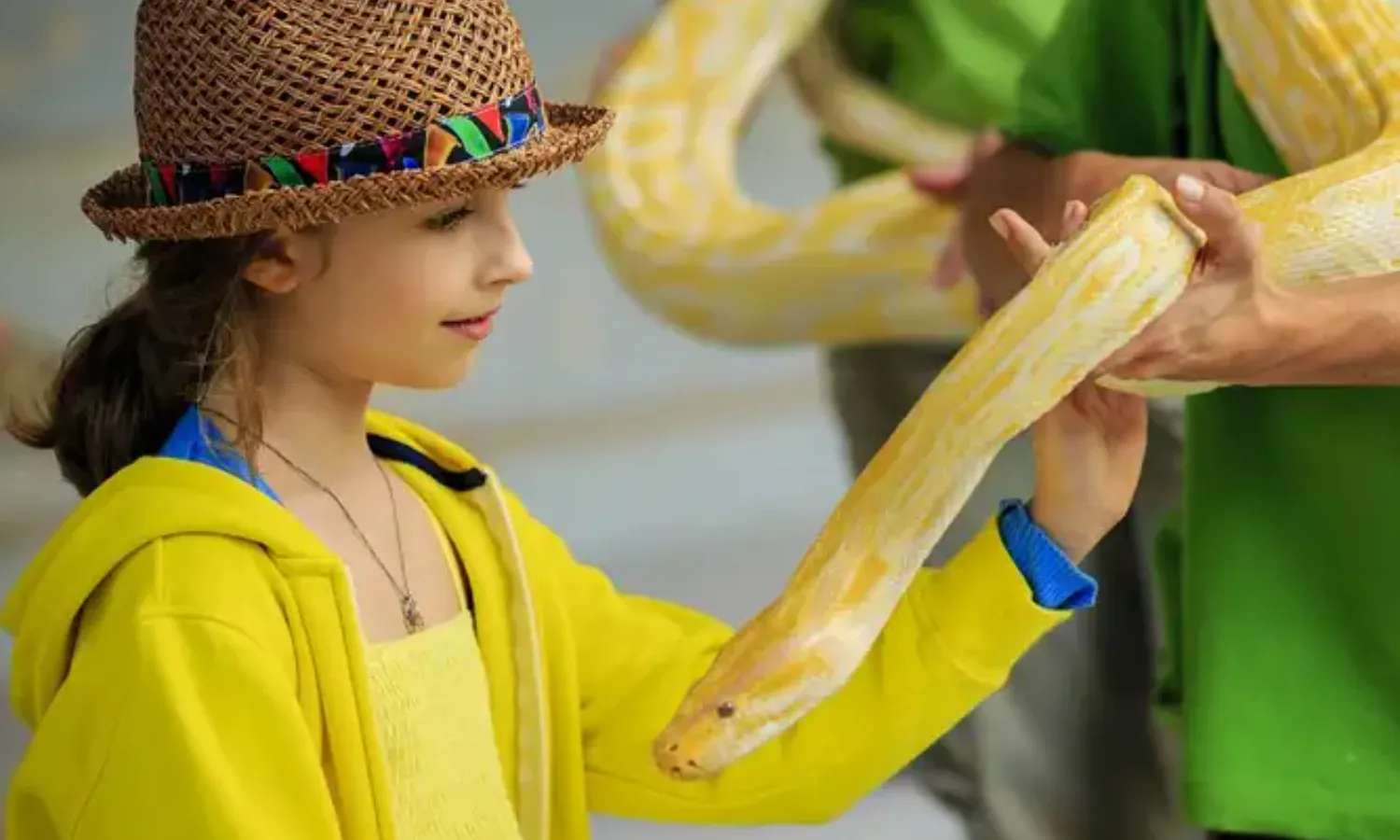 rắn tại Bali Zoo