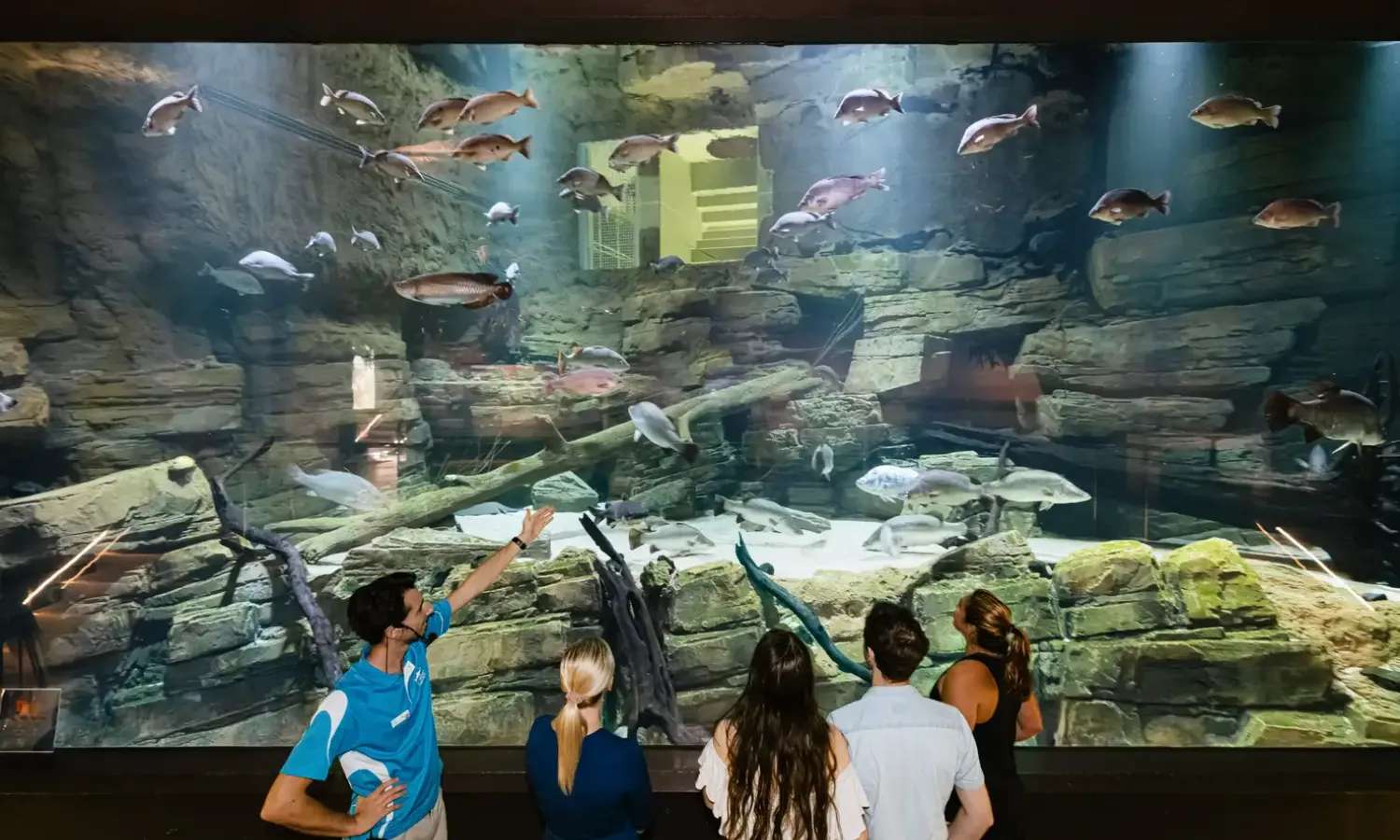 tham quan Cairns Aquarium