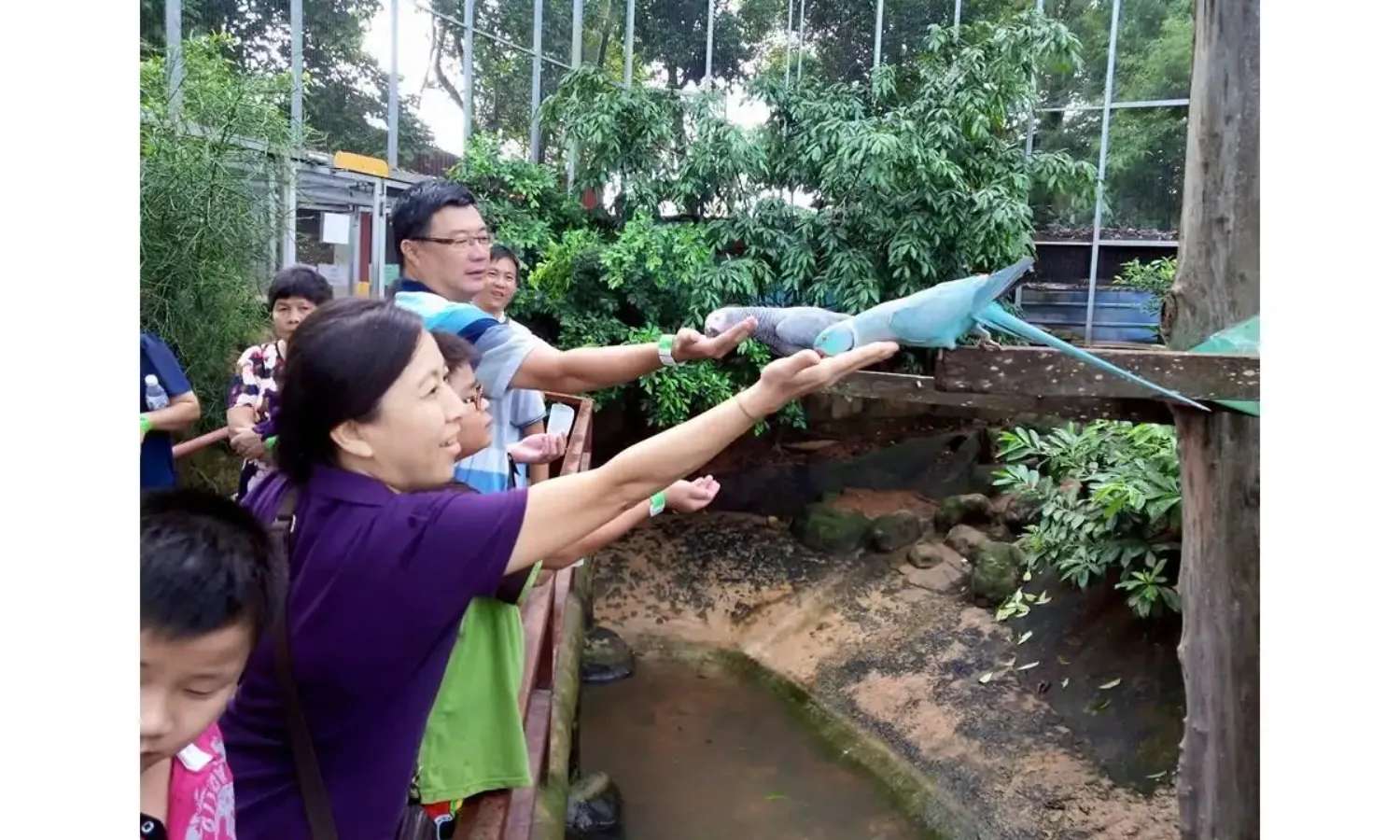 vé Melaka Crocodile Park
