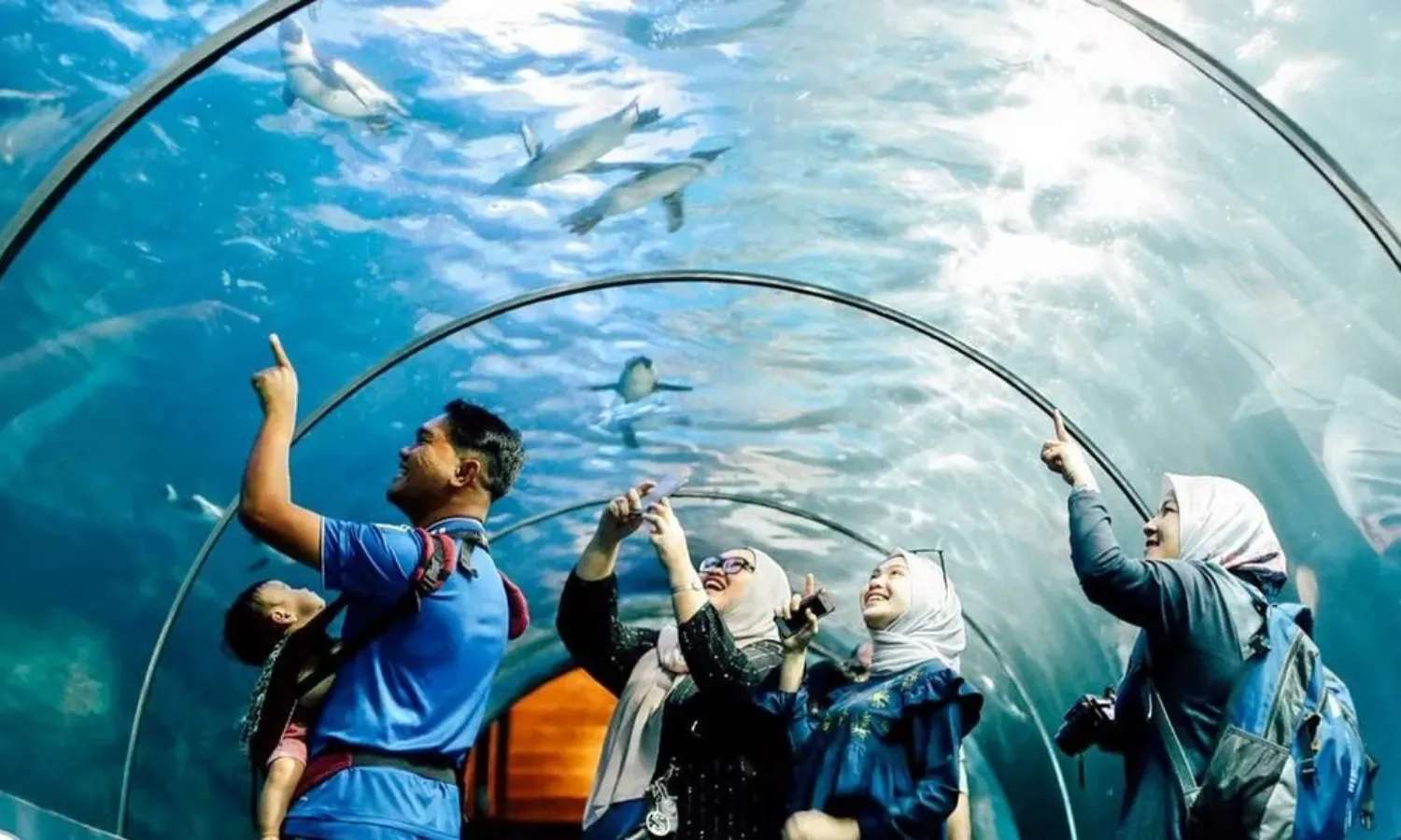 đường hầm thủy cung Underwater World Langkawi