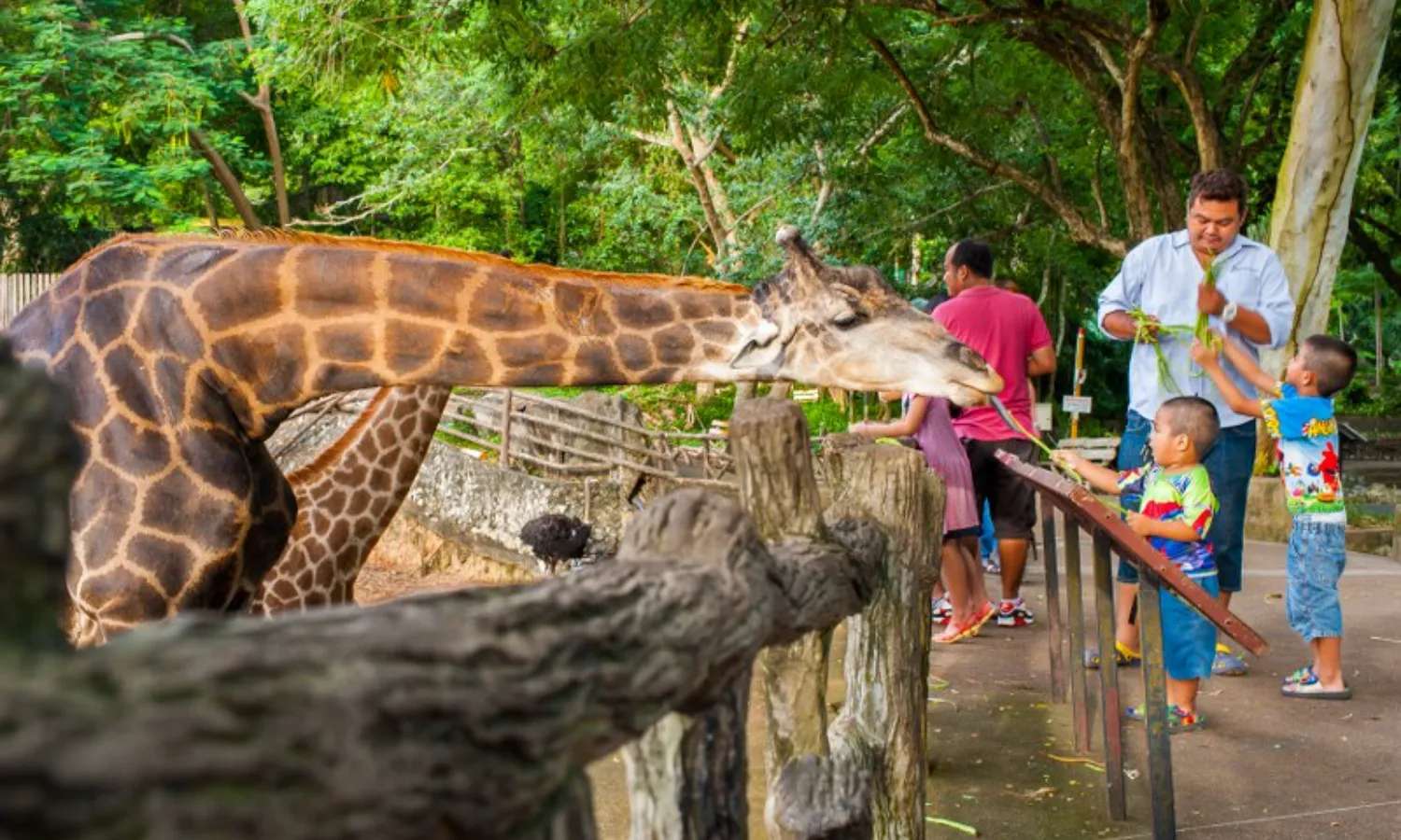 khách tham quan sở thú Khao Kheow
