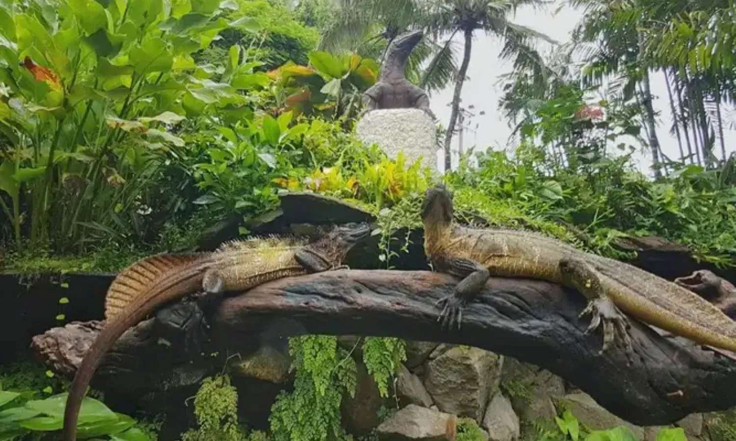vé Bali Reptile Park