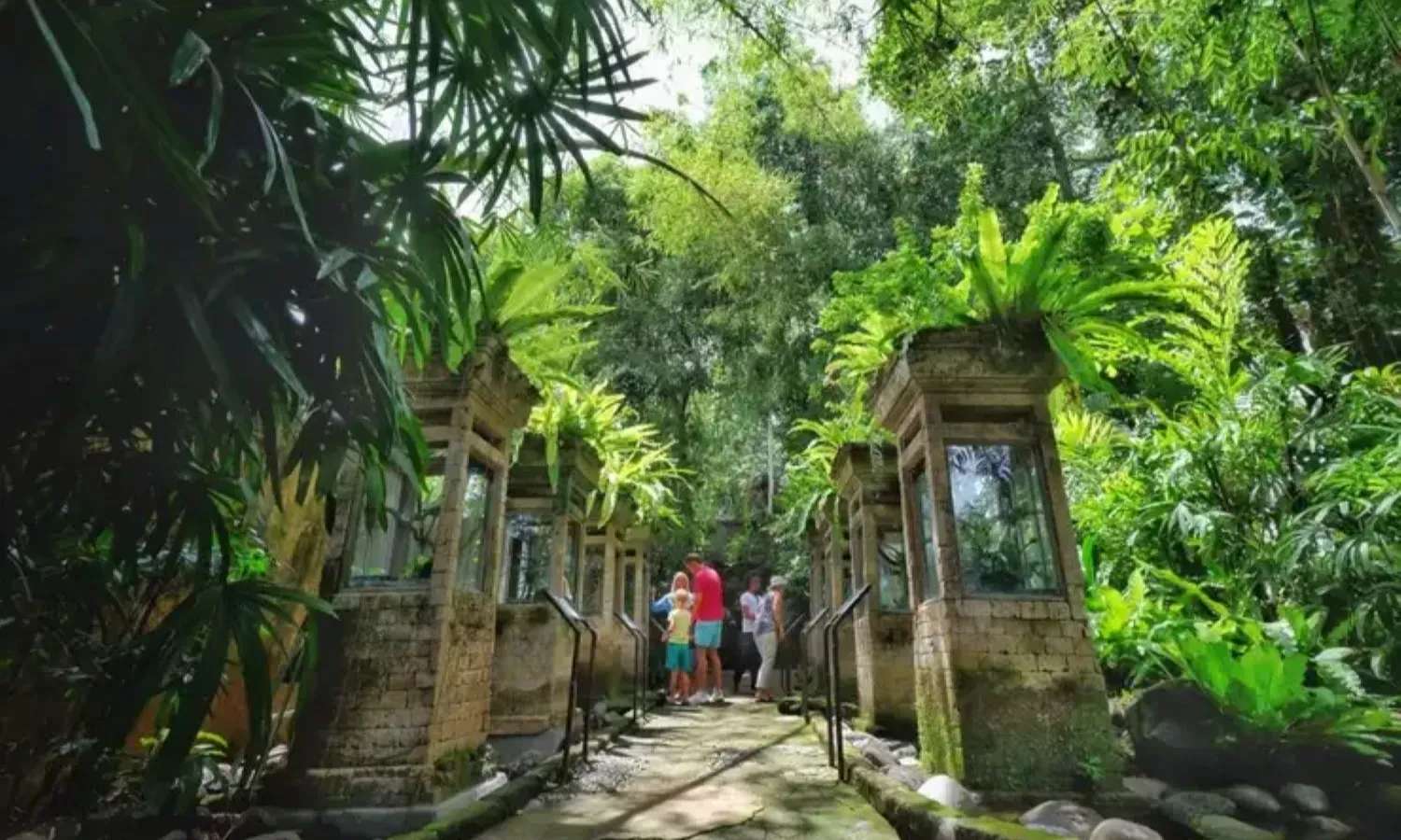 khuôn viên Bali Reptile Park