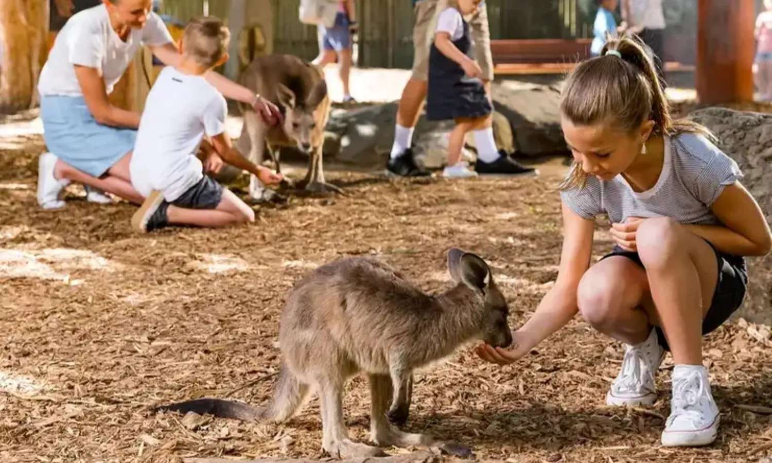 Công viên Dreamworld Australia