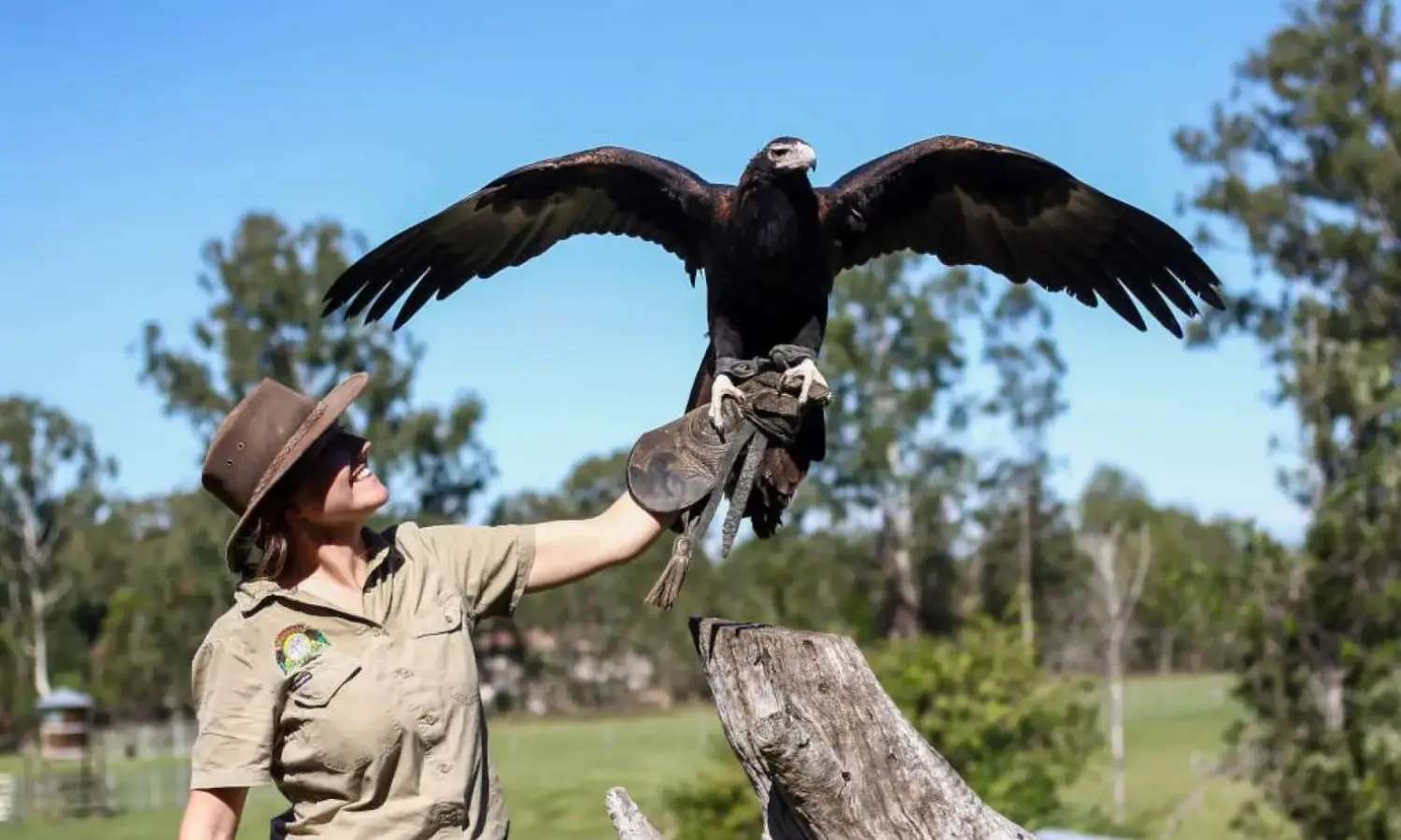 vé Lone Pine Koala Sanctuary