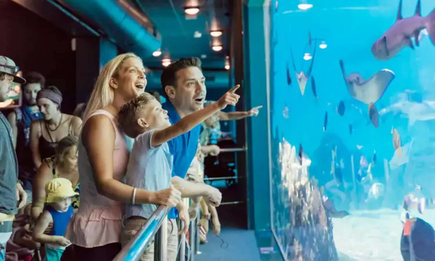 vé Sea World Gold Coast