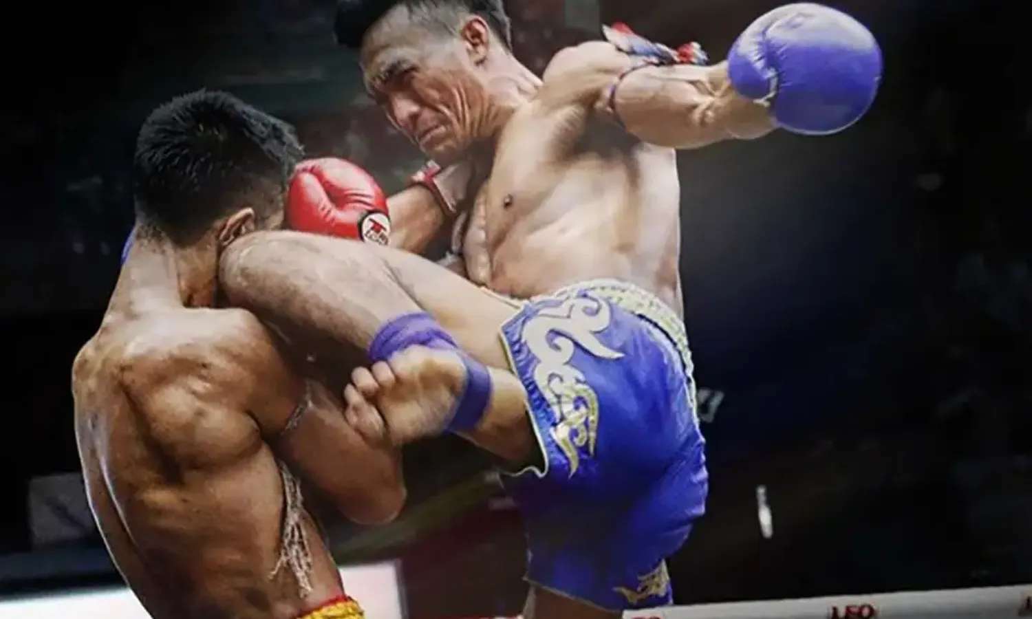 muay thái