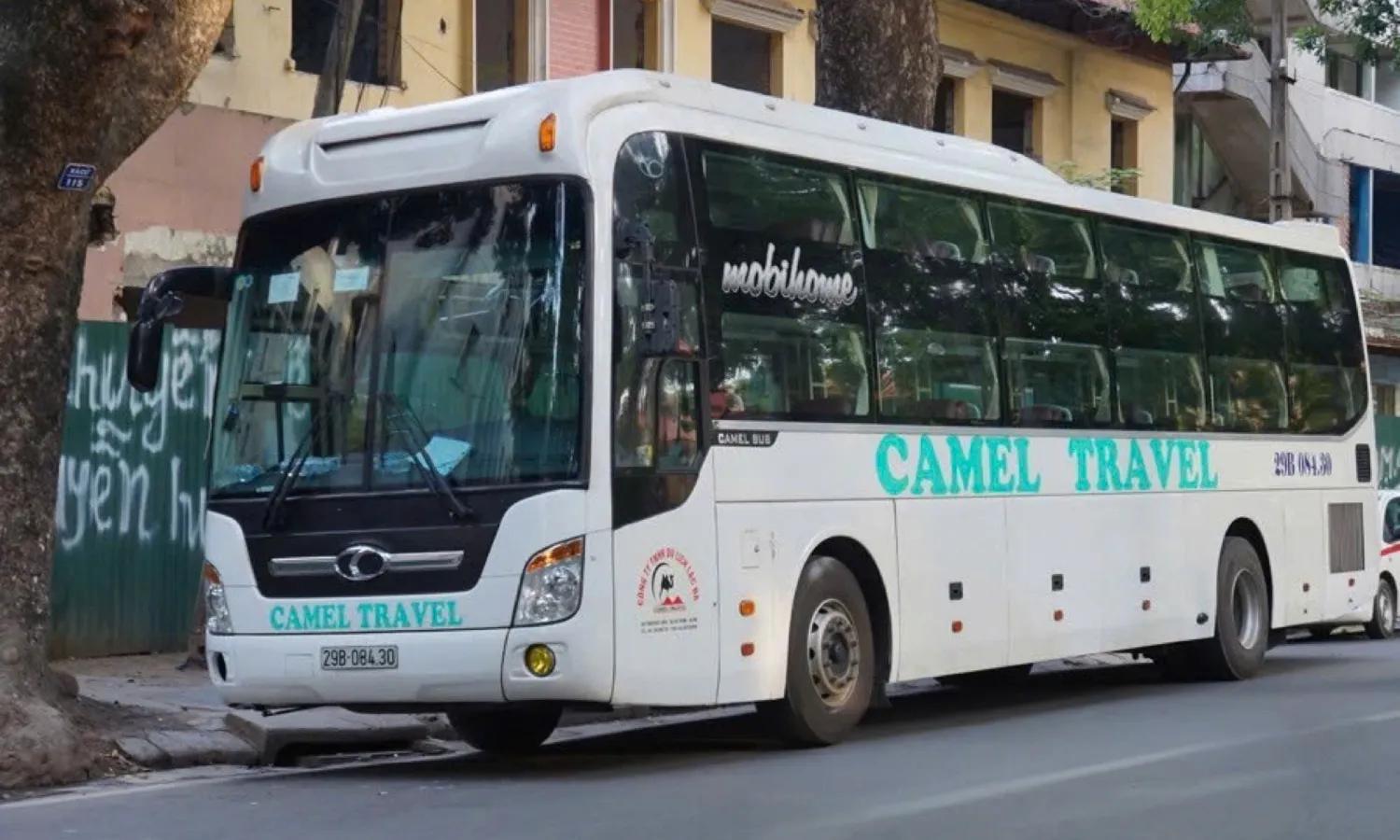 Nhà xe Camel Travel tuyến xe đi Thanh Hóa
