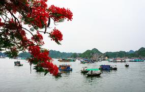 ve may bay tet - khach san nha trang