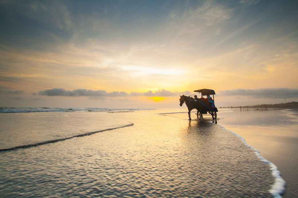 Hotel Pantai Parangtritis & Penginapan Terdekat Sekitarnya