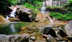 Apartments in Balik Pulau